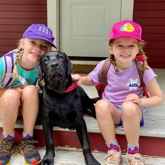 Meet your Posher, Ellie - Picture 1 of 1